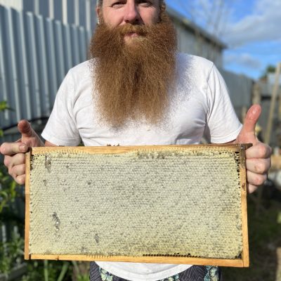 Beekeeping for Beginners in NSW: A Complete Starter Guide